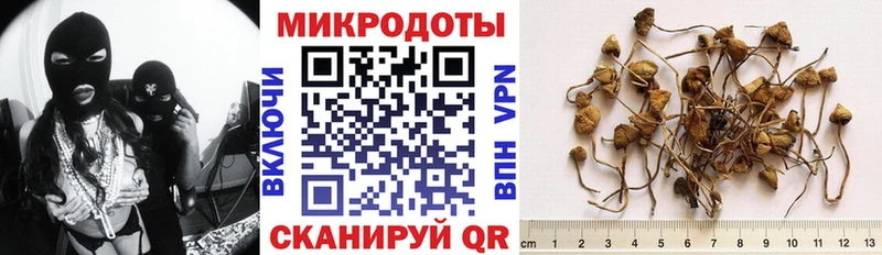 хочу   Артёмовский  Галлюциногенные грибы мухоморы 